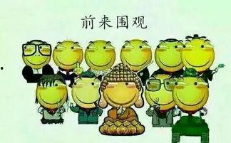 吃瓜的俚语  第2张