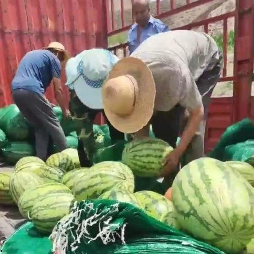 吃瓜爱心,揭秘娱乐圈甜蜜背后的故事  第3张