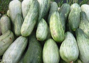 吃瓜吃到粉丝,一场奇妙的美食之旅  第1张