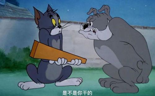 吃瓜的杰瑞  第2张