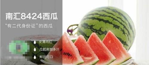 合格吃瓜人,揭秘网络舆论场中的理性与趣味  第1张