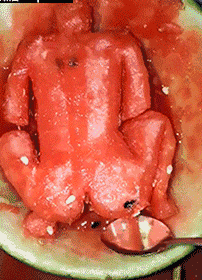 吃瓜女GIF,揭秘吃瓜女GIF背后的趣味瞬间  第3张