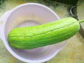 水瓜小孩可以吃不,营养健康两不误  第1张