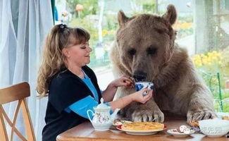 贱熊吃瓜,揭秘娱乐圈的幕后故事  第3张