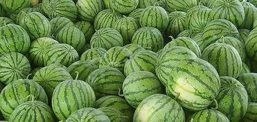 江南太子吃瓜,揭秘宫廷秘闻背后的真相  第1张