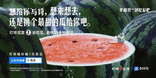 吃瓜季文案,揭秘娱乐圈幕后风云  第1张