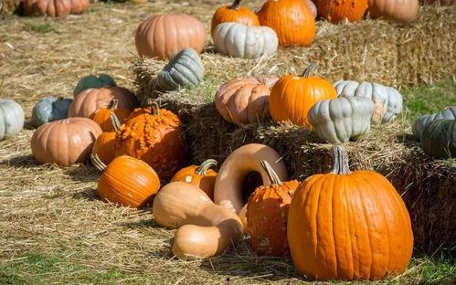 夸克吃瓜的群众  第3张