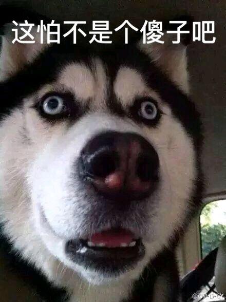 jk事件吃瓜  第2张