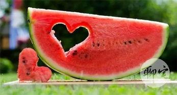 免费吃瓜网  第1张