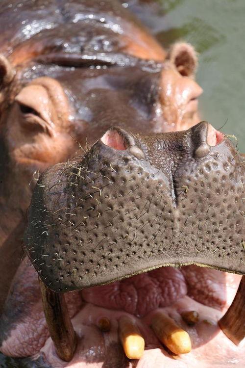 忠实吃瓜,忠实吃瓜群众揭秘娱乐圈幕后真相  第1张