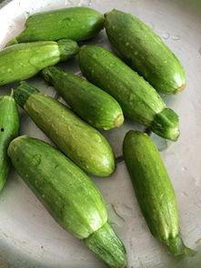 迷你小洞吃瓜  第1张